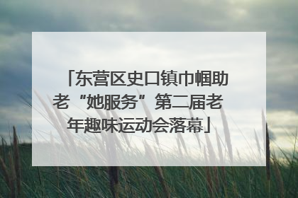 东营区史口镇巾帼助老“她服务”第二届老年趣味运动会落幕